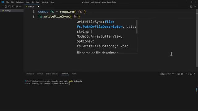 fs writeFileSync script with the tooltip-visible signature